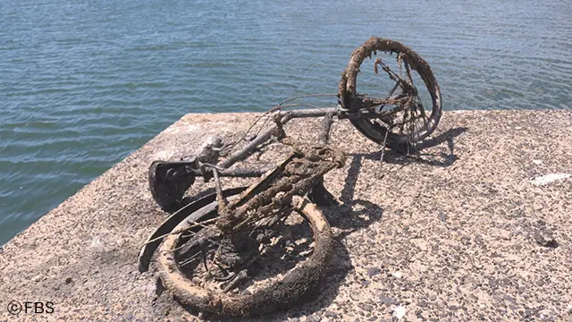 福岡の海の底には驚きのものが…