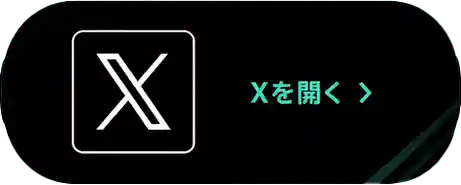 公式X